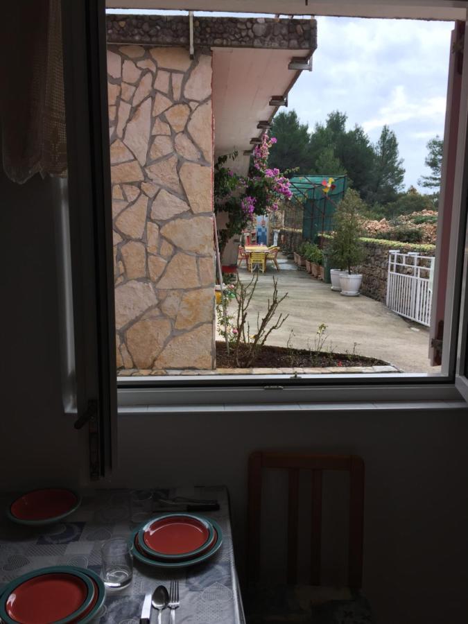 Lipovac Resort Ficus Bilice Zewnętrze zdjęcie
