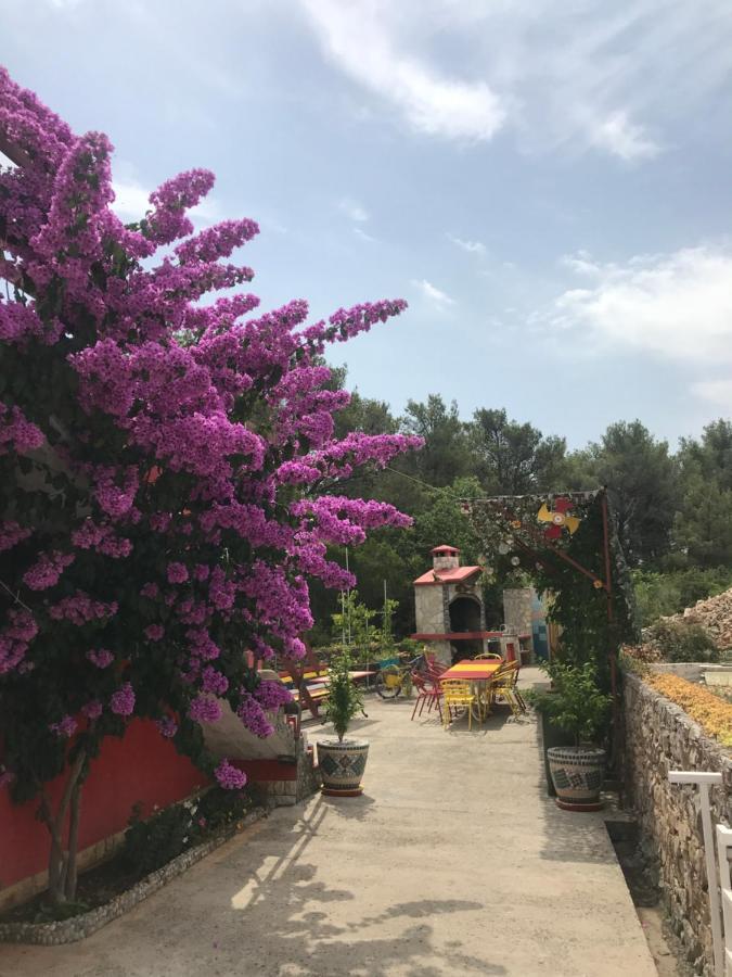 Lipovac Resort Ficus Bilice Zewnętrze zdjęcie